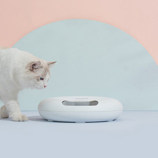 PETWANT Automatic Pet Feeder